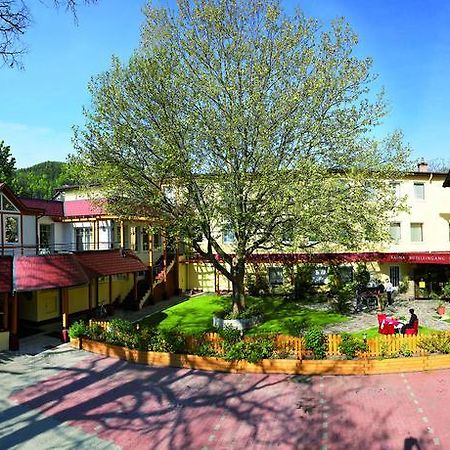 Hotel Payerbacherhof Εξωτερικό φωτογραφία